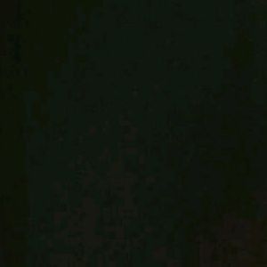 Meet your Posher, Lexie